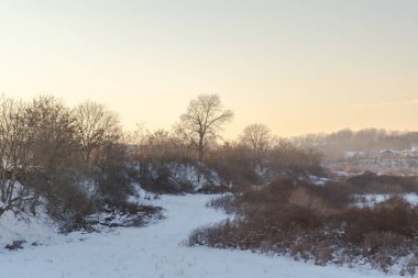 Kış günbatımı buharlı mısır tarlasında