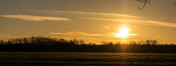 Une Journée Ensoleillée Hiver Sur Prairie Près Une Jeune Forêt — Photo