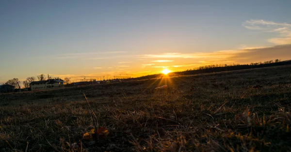 Une Journée Ensoleillée Hiver Sur Prairie Près Une Jeune Forêt — Photo