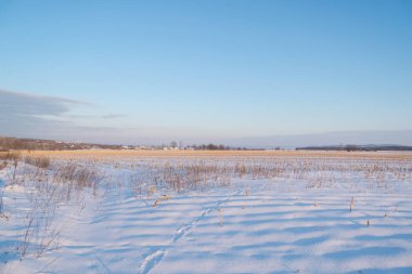 Kış günbatımı buharlı mısır tarlasında