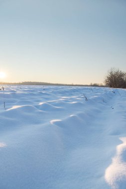 Kış günbatımı buharlı mısır tarlasında