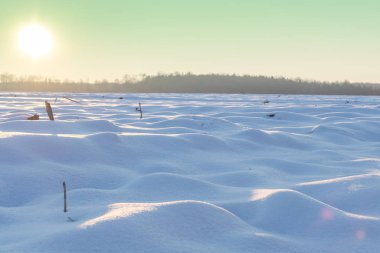 Kış günbatımı buharlı mısır tarlasında