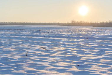 Kış günbatımı buharlı mısır tarlasında