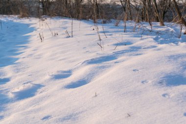 Kış günbatımı buharlı mısır tarlasında