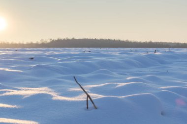 Kış günbatımı buharlı mısır tarlasında