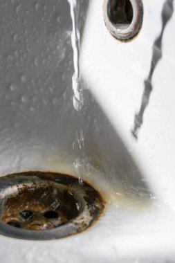 zephyr çiçeği seçici odak