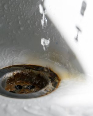 zephyr çiçeği seçici odak