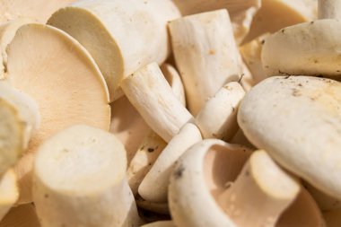 Yeni toplanmış beyaz mantar şampiyonlarının şablonu