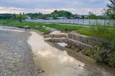 zephyr çiçekleri seçici odak