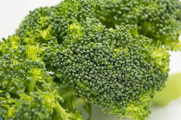 Close Green Broccoli White Background — Stock Photo, Image