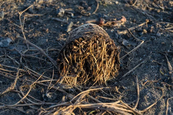 Plöja Jordbruksmark Början Våren — Stockfoto