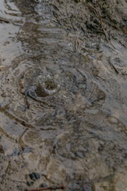 Bulanık yağmur damlaları bir su birikintisinde