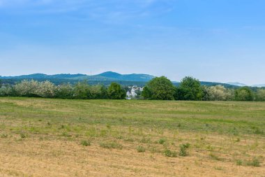 Gündüz vakti bulutlu gökyüzünün altında yeşil bitkilerin manzarası