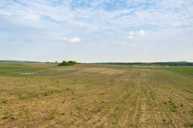 Gündüz vakti bulutlu gökyüzünün altında yeşil bitkilerin manzarası