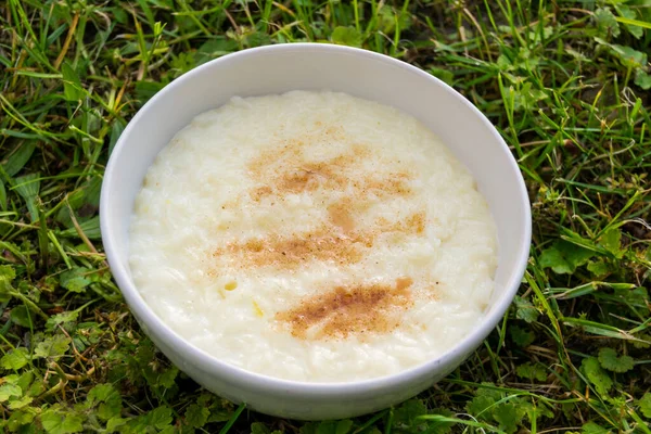 Rice Milk White Bowl Grass Closeup — Stock Photo, Image