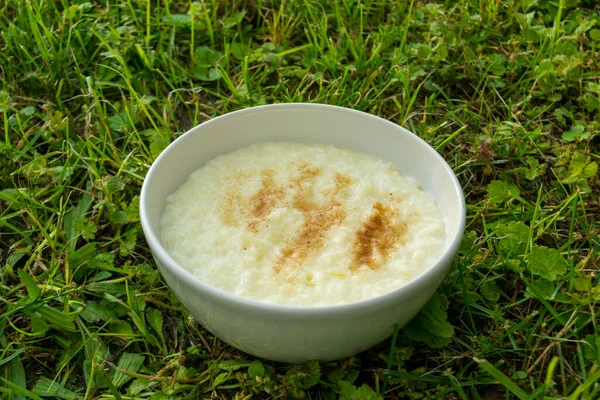 Rice Milk White Bowl Grass Closeup — Stock Photo, Image