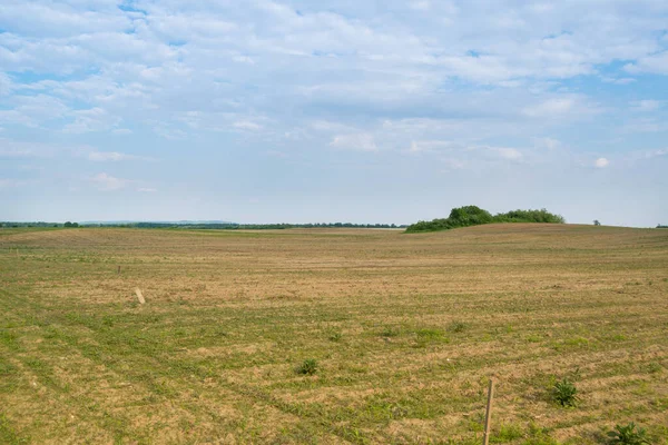 Gündüz vakti bulutlu gökyüzünün altında yeşil bitkilerin manzarası