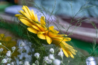 Güzel bir buket sarı gerbera çiçeği