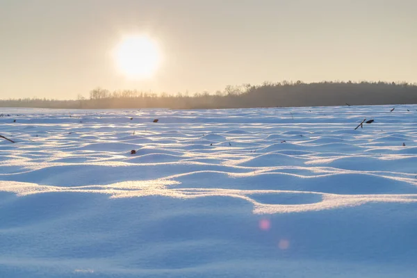 Sol Enneigé Soir Saison Hivernale Photos De Stock Libres De Droits