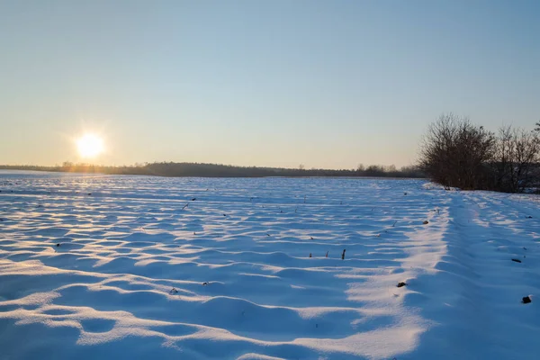 Sol Enneigé Soir Saison Hivernale Photo De Stock