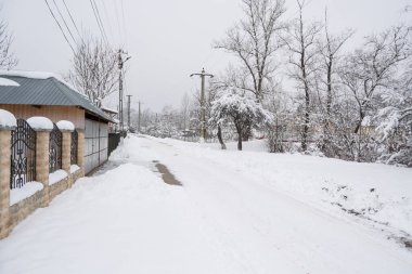 Karla kaplı ağaçlarla kaplı kış manzarası