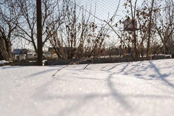 Kousky Sněhu Zahradě — Stock fotografie