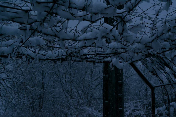 Снег Дворе Темноте — стоковое фото
