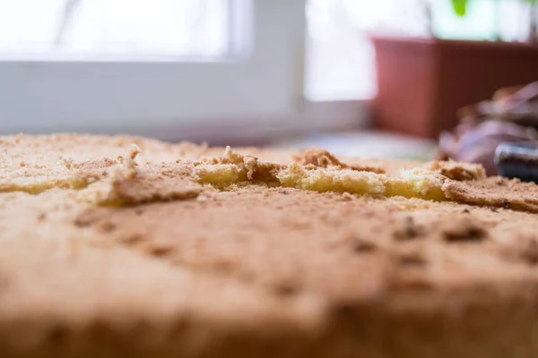 Close Delicioso Bolo Esponja Cozido Forno Caseiro — Fotografia de Stock