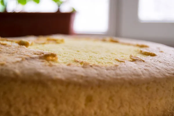 Close Delicioso Bolo Esponja Cozido Forno Caseiro — Fotografia de Stock