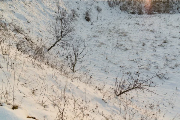 Snötäckt Mark Kvällen Vintersäsongen — Stockfoto