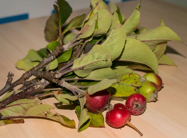 Branch of last autumn apples with leaves on a table