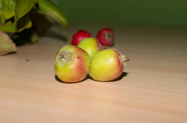 Rama Las Manzanas Pasadas Otoñales Con Las Hojas Mesa — Foto de Stock