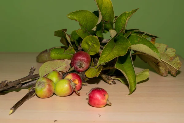 Ramo Maçãs Outono Passadas Com Folhas Uma Mesa — Fotografia de Stock