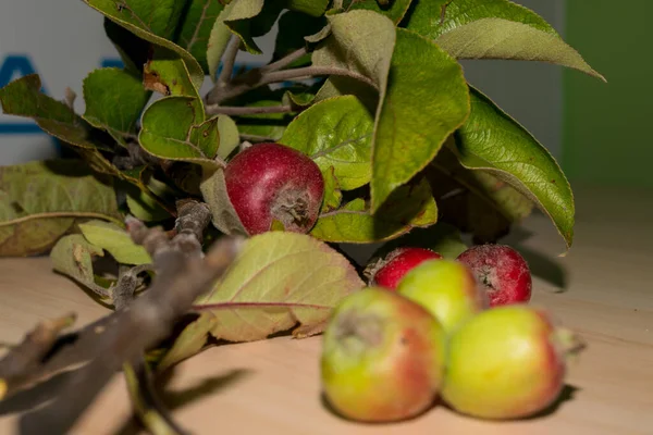 Äpfel Vom Letzten Herbst Mit Blättern Auf Dem Tisch — Stockfoto