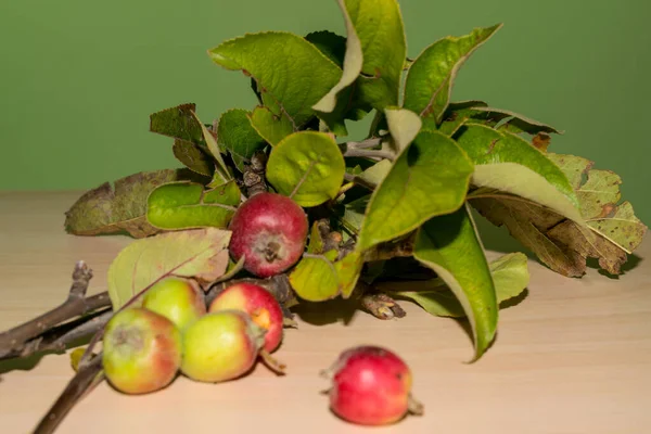 Äpfel Vom Letzten Herbst Mit Blättern Auf Dem Tisch — Stockfoto