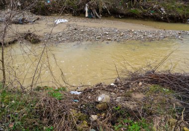 Ormandaki kirlenmiş nehir, kötü ekoloji kavramı