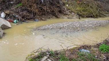 Ormandaki kirlenmiş nehir, kötü ekoloji kavramı