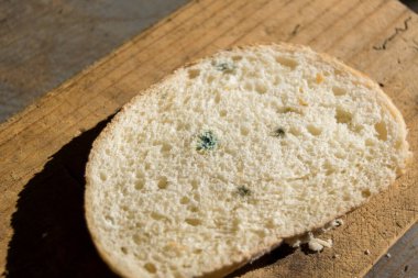 Küflü bir parça ekmek.