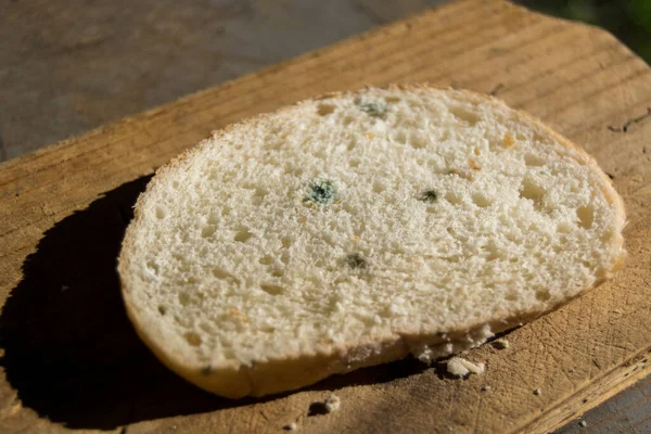 Primo Piano Pezzo Pane Con Stampo — Foto Stock