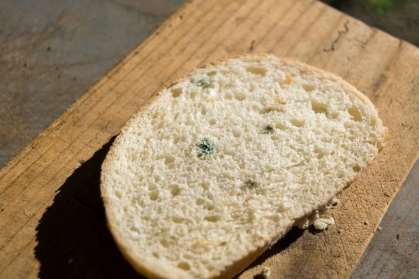 Closeup of piece of bread with mold