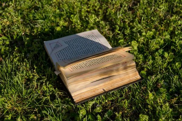 緑の草の中の祈祷書の閉鎖 — ストック写真