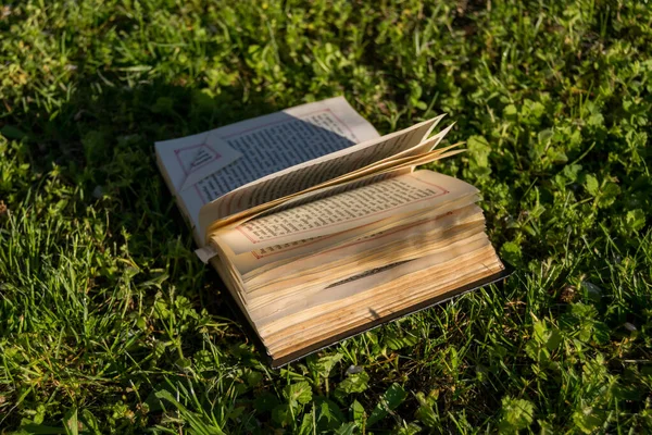 緑の草の中の祈祷書の閉鎖 — ストック写真
