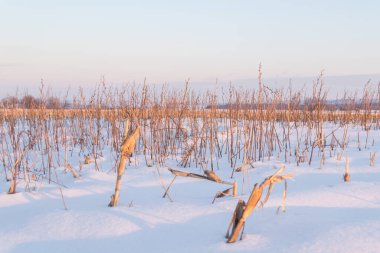 Kış mevsiminde akşam üzeri karla kaplıydı. 