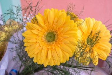 Güzel bir buket sarı gerbera çiçeği