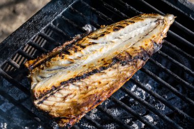 bbq üzerinde ızgara balık, yakın görüş