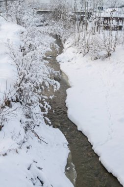 Kış mevsiminde karla kaplı ağaçlar 