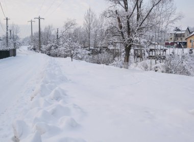 Kış mevsiminde karla kaplı ağaçlar 