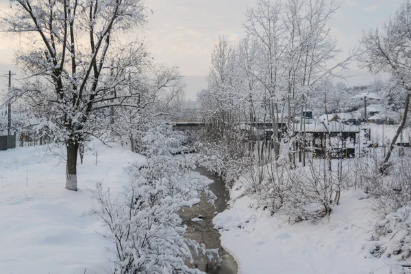 Árvores Cobertas Neve Temporada Inverno — Fotografia de Stock