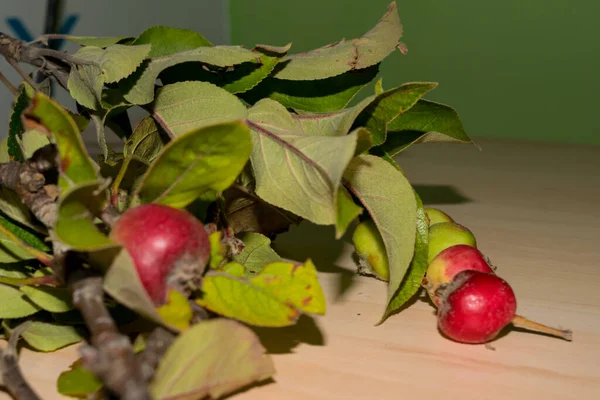 Rote Und Grüne Äpfel Mit Blättern Nahsicht — Stockfoto