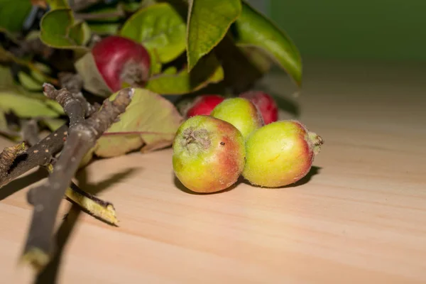 Rote Und Grüne Äpfel Mit Blättern Nahsicht — Stockfoto